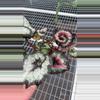 plant/Begonia Harmony Heartbreaker-0-thumbnail