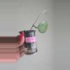 plant/Hoya Pemalang Silver #8342-1-thumbnail