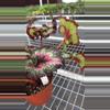 plant/Begonia Harmony Heartbreaker-2-thumbnail