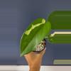 plant/Syngonium  Chiapense variegated-1-thumbnail