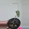 plant/Hoya Pemalang Silver #8342-2-thumbnail