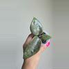 plant/🦄💖Hoya Wibergiae 'Pink Crush' (DMW-001-U) #9054-4-thumbnail