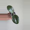 plant/🦄💖Hoya Wibergiae 'Pink Curl' (DMW-001-Q) #9053-1-thumbnail