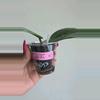 plant/🦄💖Hoya Wibergiae 'Pink Curl' (DMW-001-Q) #9053-3-thumbnail