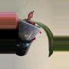 plant/Hoya Sulawesiana Albo in swp-4-thumbnail