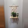 plant/Berry Knot X shelf-0-thumbnail