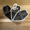 plant/Jaclynn Jungle's Sticker -0-thumbnail