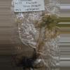 plant/REHAB 4 x tc Monstera Thai Constellation High var & Silver dragon variegated-1-thumbnail