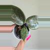 plant/🦄💖Hoya Wibergiae 'Pink Crush' (DMW-001-U) #9054-2-thumbnail
