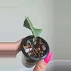 plant/Hoya sp Gunung Leuser 'Monohara'-2-thumbnail