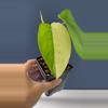 plant/Syngonium Chiapense variegated-1-thumbnail