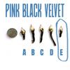 plant/255 Alocasia Pink Black Velvet - Corm E Only-0-thumbnail