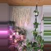 plant/3 Tier hanger-1-thumbnail