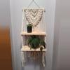 plant/Berry Braid double shelf-0-thumbnail