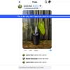 plant/Anthurium umbrosum RARE seedling-6-thumbnail