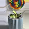plant/Hoya Lacunosa Minara-1-thumbnail