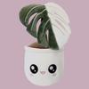 plant/Blushiez ‘Monstera Albo’ Plushie-0-thumbnail