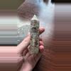 plant/Mexican crazy lace tower-1-thumbnail