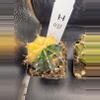 plant/Gymnocalycium Mihanovichii Variegated in 2.7" H37-0-thumbnail
