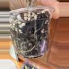 plant/Alocasia Zebrina Variegated-3-thumbnail