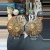 plant/ammonite pair-0-thumbnail