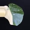 plant/🌿MONSTERA MILKY WAY-6-thumbnail