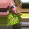 plant/Hot pink albo orm thong syngonium rooted cutting from high varigated mom-2-thumbnail
