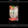 plant/Corm only...Large form pink mint amazonica not small Polly joy ghost-4-thumbnail