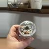 heat_pack/Add corm cups for my corms! 🌰🌰🌰-1-thumbnail