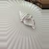 plant/Seashell Motif Covered Porcelain Pot-3-thumbnail