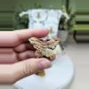plant/Bundle gift set (1)-1-thumbnail