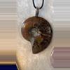 plant/Ammonite Pendants for the fossil lovers-0-thumbnail