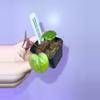 plant/(Cerro x pap) x Carla from phytorot-1-thumbnail