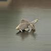 plant/Mini Brass Fish-0-thumbnail