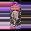 plant/Tri pink wattson corm available-5-thumbnail