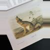 plant/Audubon Mammals Coffee Table Book-5-thumbnail