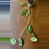 plant/Paraiso Verde Philodendron-0-thumbnail