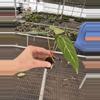 plant/Seed grown anthurium blue papillilaminum x carlablackiae starter plant growers-6-thumbnail
