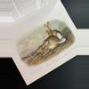 plant/Audubon Mammals Coffee Table Book-3-thumbnail