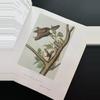 plant/Audubon Mammals Coffee Table Book-6-thumbnail