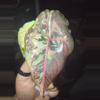 plant/Pink/albo/purple azlannii pup-17-thumbnail