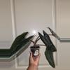 plant/Alocasia Scalprum in 4 inch pot.-0-thumbnail