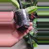 plant/Hoya Multiflora Wonderphil C-2-thumbnail