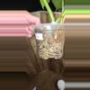 plant/Monstera Borsigiana Aurea-1-thumbnail