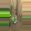 plant/Homalomena Rubescens Splash-1-thumbnail