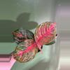plant/Aglaonema orange sombat-0-thumbnail