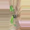 plant/Schismatoglottis Wallichii-1-thumbnail