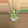 plant/White Princess Philodendron-0-thumbnail