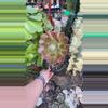 plant/Order for Lemony_lynx-0-thumbnail