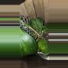 plant/Hoya Kerri Inner Varigated-1-thumbnail